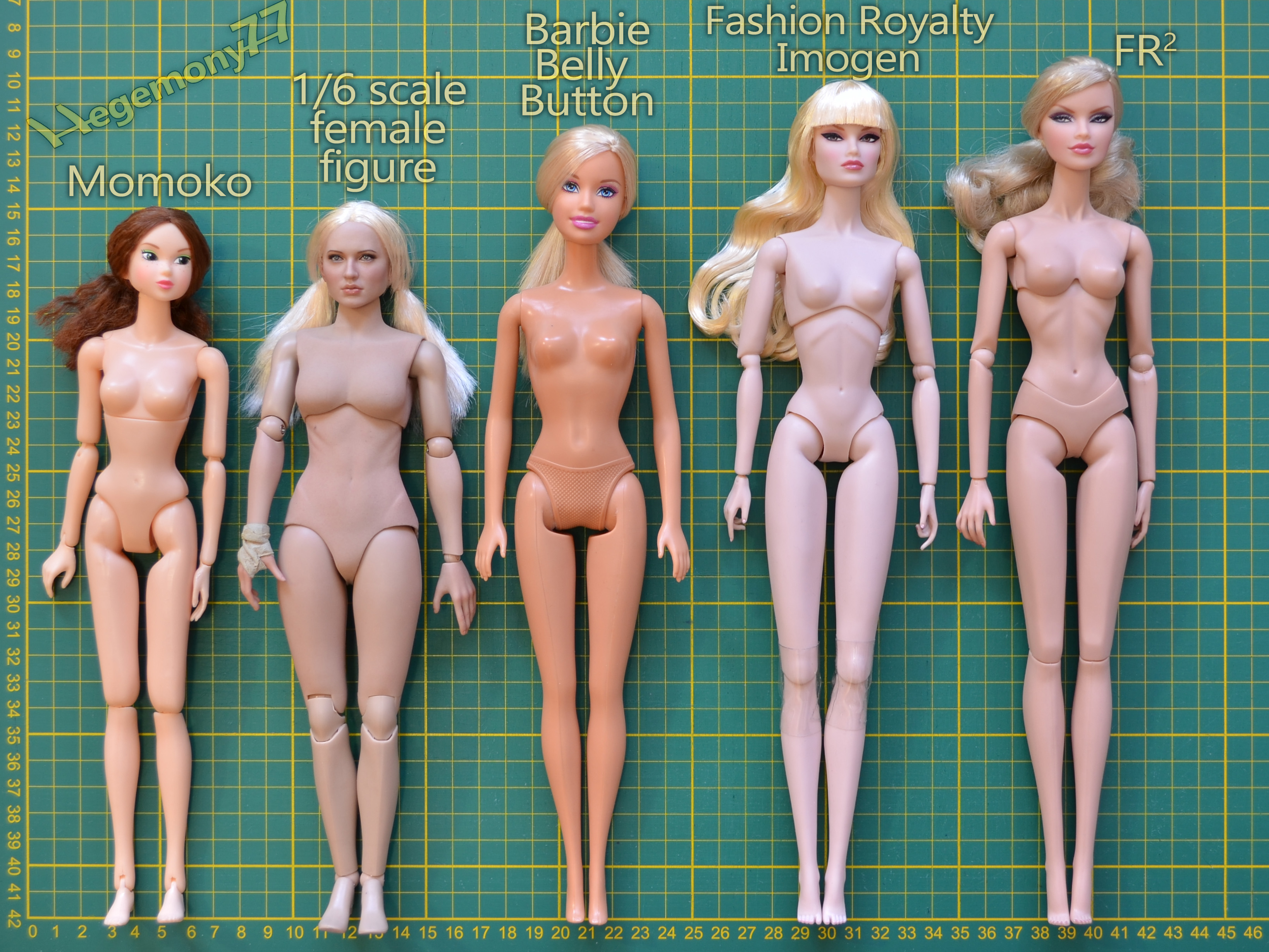 Doll comparison photo - Momoko - 1/ 6 scale female figure - Barbie Belly Bu...