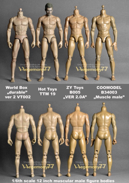 https://hegemony77.files.wordpress.com/2015/02/sixth-scale-collectible-male-muscular-figure-body-and-skin-color-tone-comparison-photo.jpg?w=450&amp;h=639